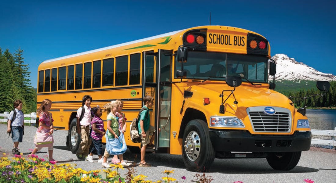 School bus - mô hình giao thông hiện đại